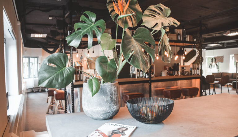 Afbeelding voor Dit betekent duurzaamheid voor MyParcel.