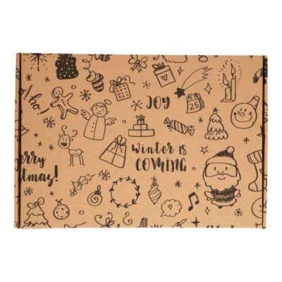 Afbeelding voor Brievenbusdoos Winter is coming A5+