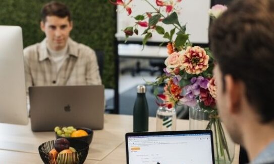 Thumbnail for Duurzame disposables voor de horeca- en evenementensector van Bio Disposables.